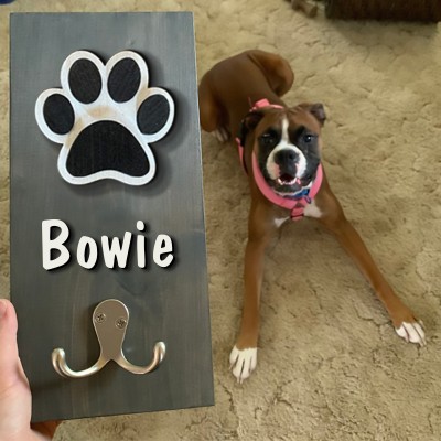 Personalized 3D Dog Paw Shiplap Leash Holder
