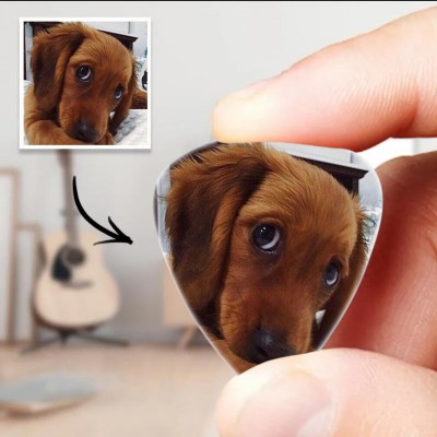 Personalized Guitar Pick with Photo For Pet Dogs