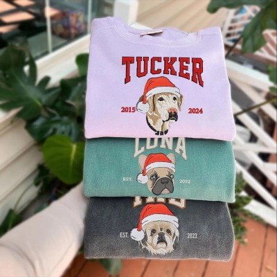 Custom Christmas Embroidered Dog Sweatshirt in Varsity Style With Name For Pet Lover Gifts